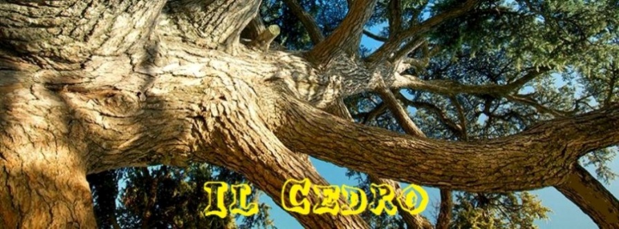 Consultorio Familiare Il Cedro 